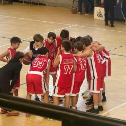 U14: Un nuovo caso per il Commissario Papale (prima puntata)