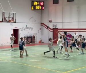 U14: Zelo Bulls-Basketown 31-51